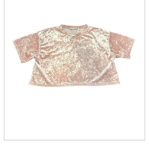 Urban Outfitters Pink Velvet Short Sleeve Tee